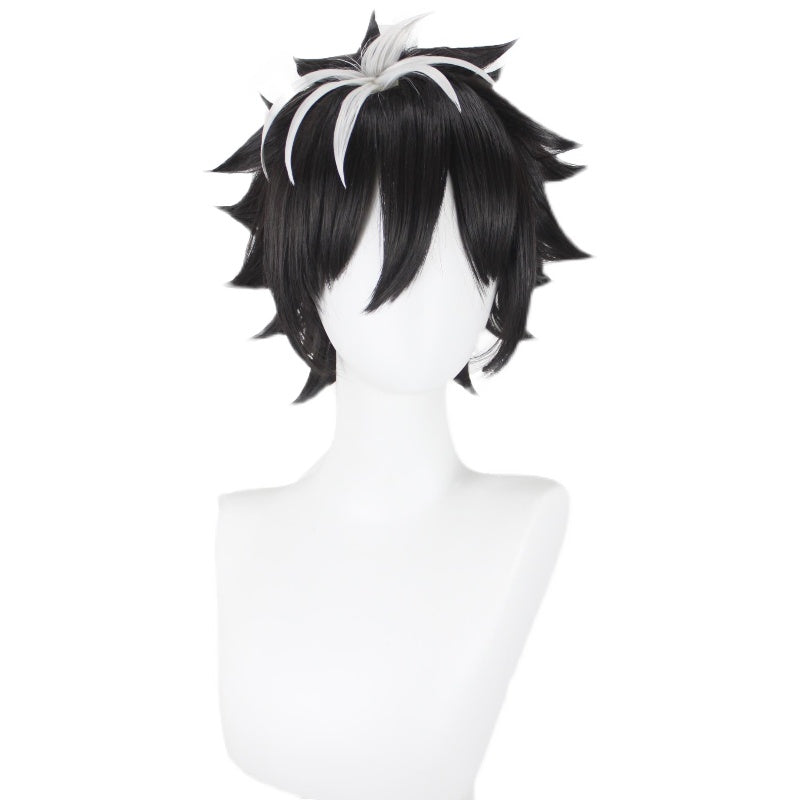 Fate Grand Order FGO Charlemagne Cosplay Wig