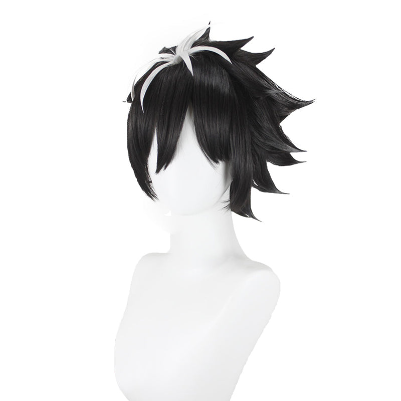 Fate Grand Order FGO Charlemagne Cosplay Wig