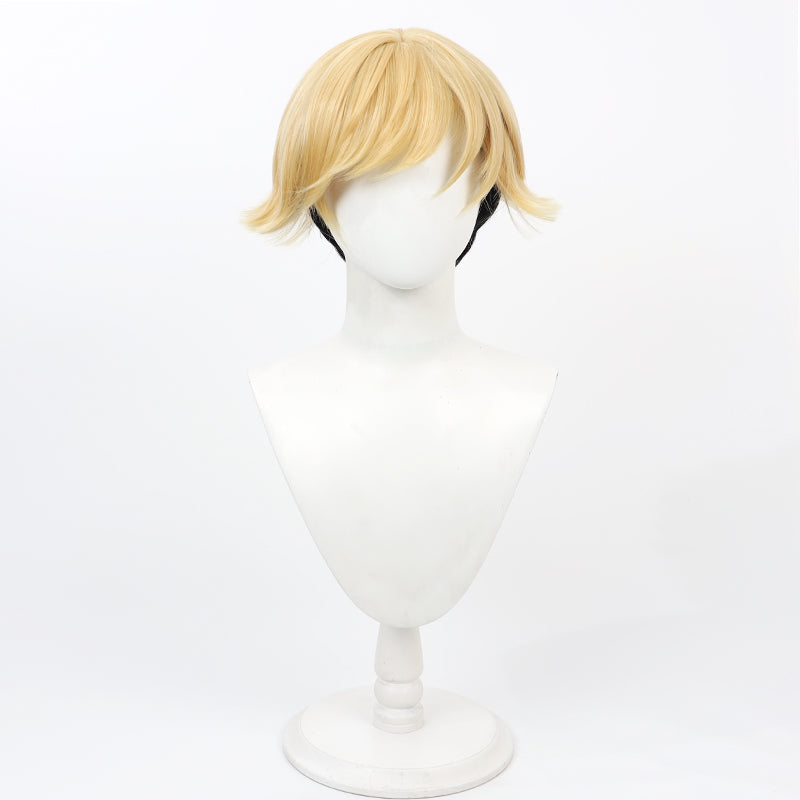 Frieren: Beyond Journey's End Sousou no Frieren Land Cosplay Wig