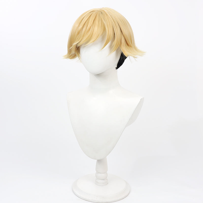 Frieren: Beyond Journey's End Sousou no Frieren Land Cosplay Wig