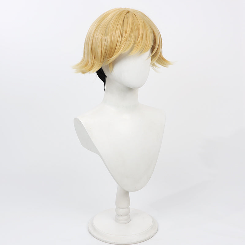 Frieren: Beyond Journey's End Sousou no Frieren Land Cosplay Wig