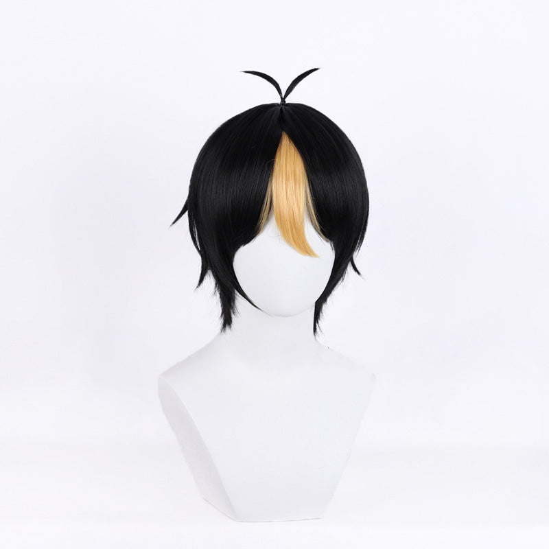 Haikyu!! Haikyuu!! Yu Nishinoya Cosplay Wig B Edition