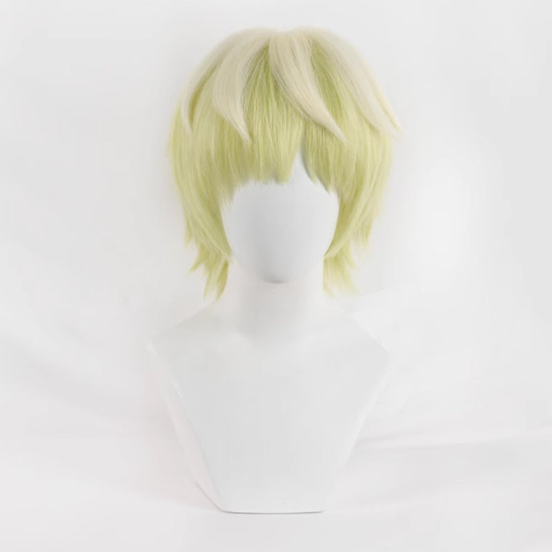 Mato Seihei no Slave Chained Soldier Tenka Izumo Cosplay Wig