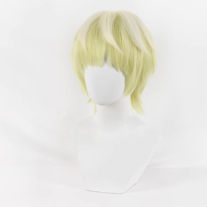 Mato Seihei no Slave Chained Soldier Tenka Izumo Cosplay Wig