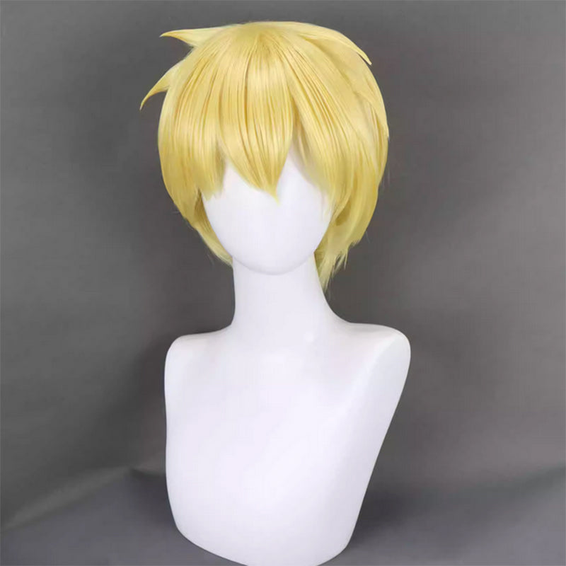 Persona 3 Reload P3R Aigis Cosplay Wig