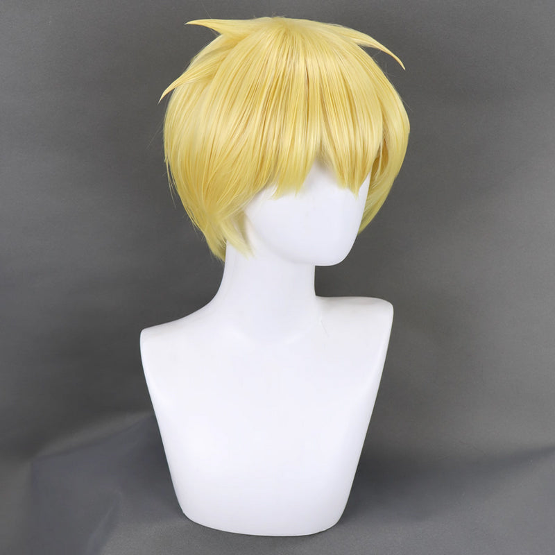 Persona 3 Reload P3R Aigis Cosplay Wig