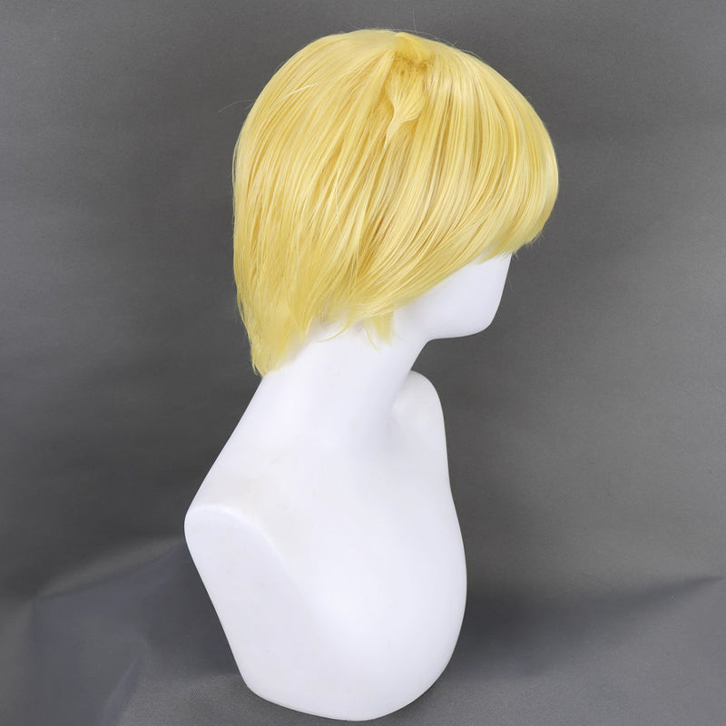 Persona 3 Reload P3R Aigis Cosplay Wig