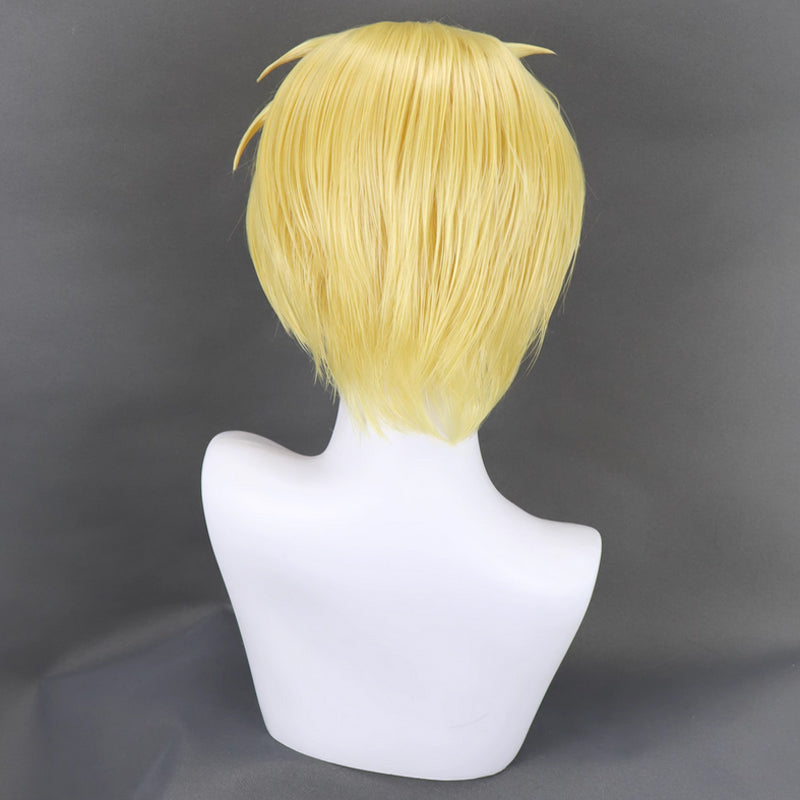 Persona 3 Reload P3R Aigis Cosplay Wig