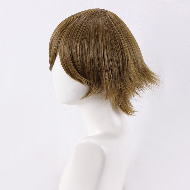 Persona 3 Reload P3R Amada Ken Cosplay Wig