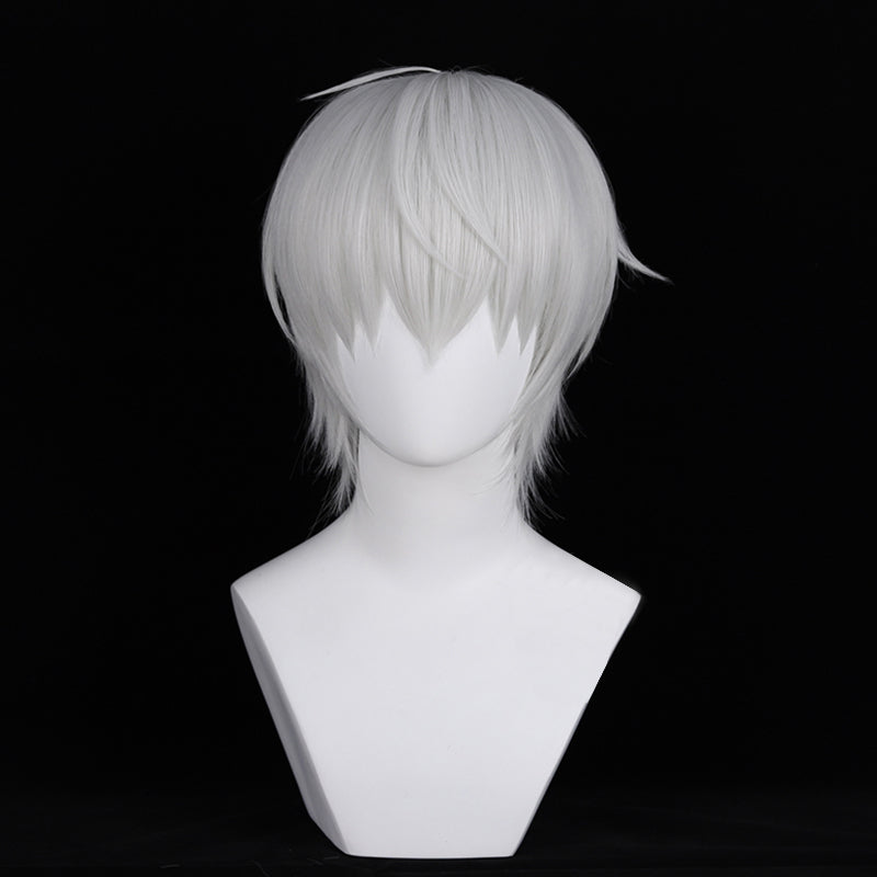 Ragna Crimson Ragna Cosplay Wig