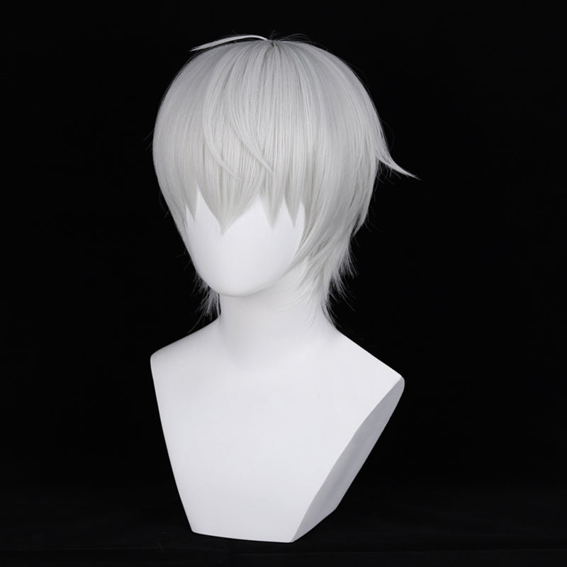 Ragna Crimson Ragna Cosplay Wig