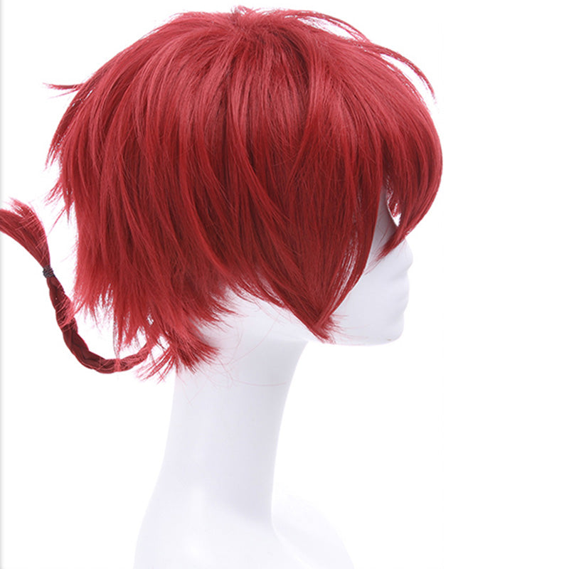 Ranma ½ Ranma 1/2 Ranma Saotome Cosplay Wig