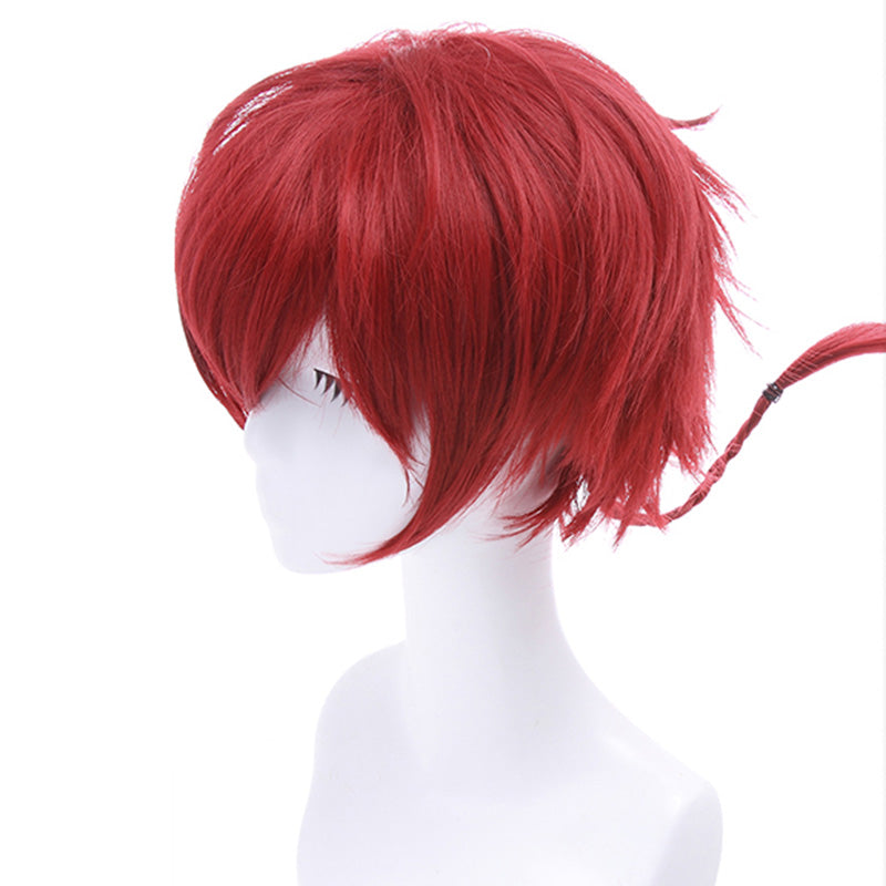 Ranma ½ Ranma 1/2 Ranma Saotome Cosplay Wig