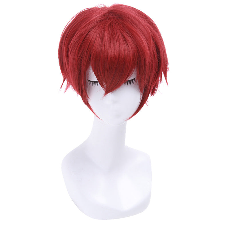 Ranma ½ Ranma 1/2 Ranma Saotome Cosplay Wig